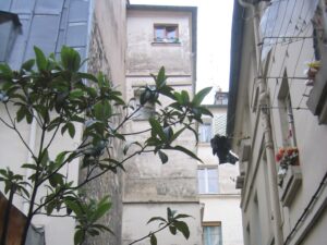 pignon esclaier A et façade bâtiments cour